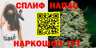 a pvp Аша