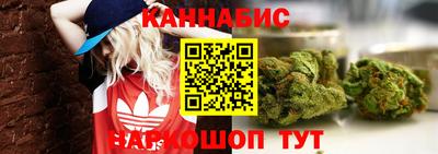 a pvp Аша
